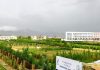 یک دانشجو دانشجوی دیگر را در پکتیا کشت