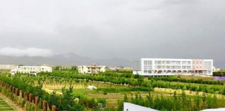 یک دانشجو دانشجوی دیگر را در پکتیا کشت