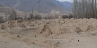 چونی