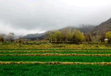 سیاحت در بهشت (معرفی مناطق دیدنی افغانستان)