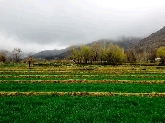 سیاحت در بهشت (معرفی مناطق دیدنی افغانستان)