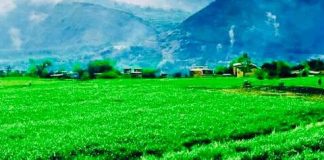 آمادگی مردم کاپیسا برای جشن نوروز
