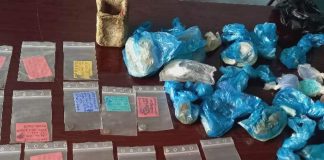 35 قلم اثر باستانی از ساحه منارجام ولایت غور کشف شد