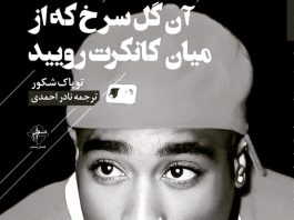 پرتاب شدن سنگی در اقیانوس ترجمه
