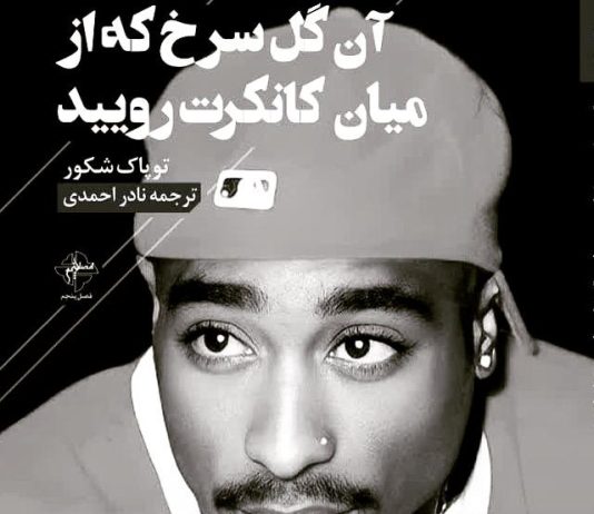 پرتاب شدن سنگی در اقیانوس ترجمه