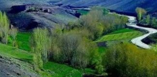 شرچشمه