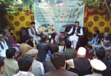 جشنواره توت شمالی