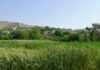 منطقه توچی