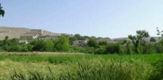 منطقه توچی