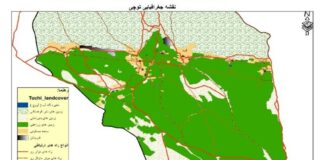 نقش توچی