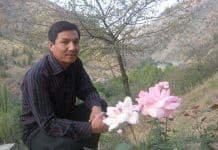 صادق عصیان