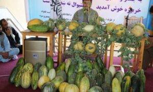 جشنواره فرهنگی-ادبی سیب رخش در بدخشان و گل خربوزه در بادغیس برگزارشد 1 جشنواره فرهنگی-ادبی سیب رخش در بدخشان و گل خربوزه در بادغیس برگزارشد