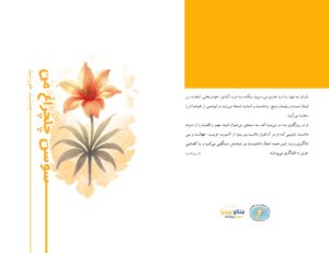 در ستایش خورشید 1 جمشید خورشید