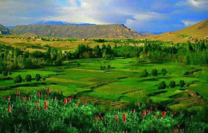 محیط زیست