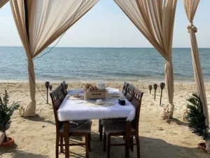 Tripadvisor ساحل هاف مون