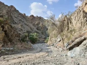 Wikimedia وادی طیب الاسم