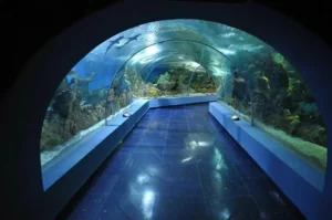 fakieh aquarium