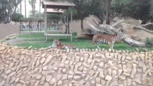 trfihi parks