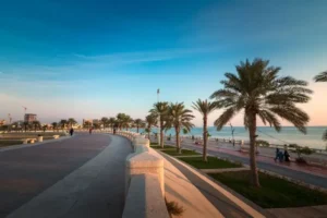 wafyapp3