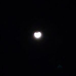 FB IMG 1757264280462 1 1536x1536 1