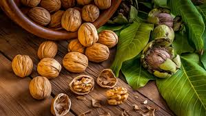 چهارمغز