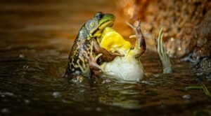 1 Screenshot 20251215 001939 Gallery